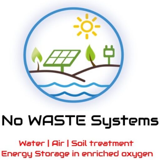 logo nws